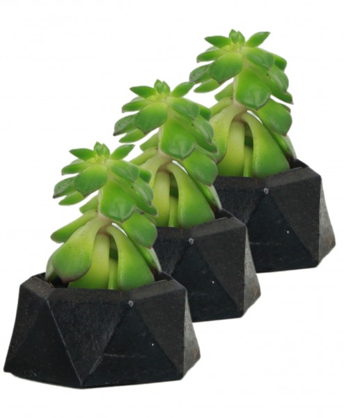 Mini Çiçek Saksı Küçük Sukulent Siyah Kaktüs Saksısı 3lü Set Mini Poly 2 Model
